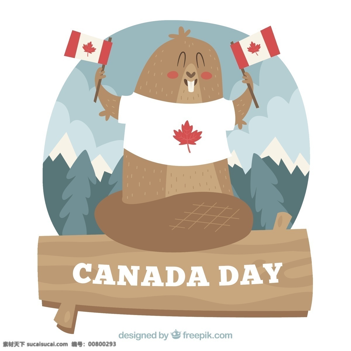 加拿大 日 背景 海狸 树叶 墙纸 庆典 节日 事件 庆祝 文化 自由 国家 独立日 国庆日 爱国 独立