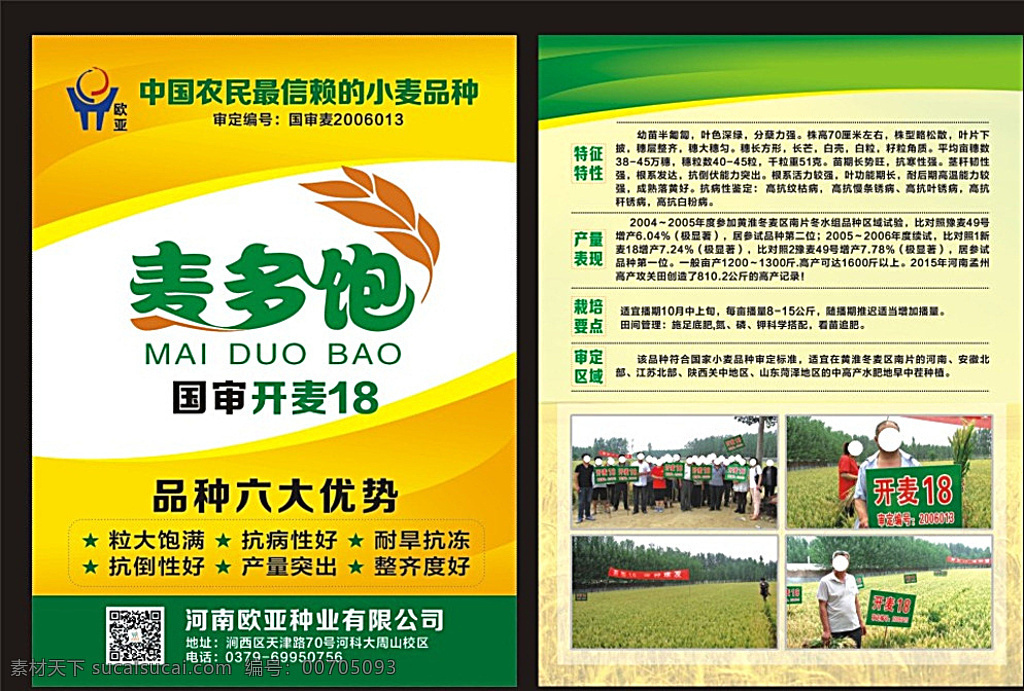 小麥 農(nóng)業(yè)宣傳單 小麥單頁 豐收 麥穗 dm宣傳單 黃色