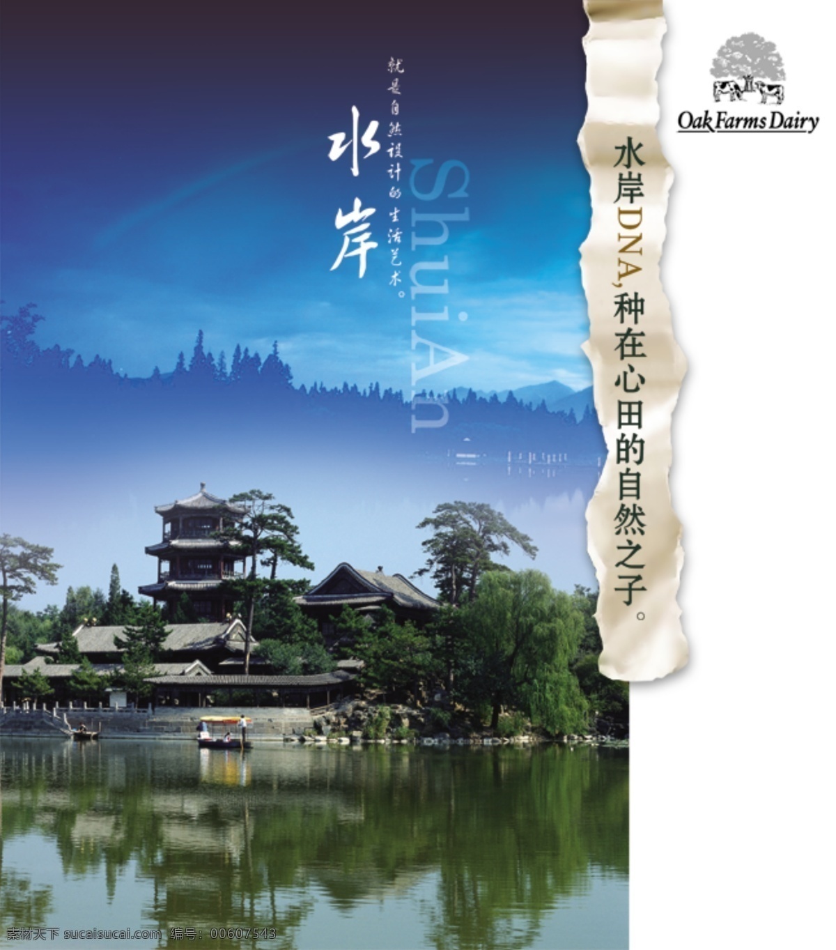 漂亮 分層 白色