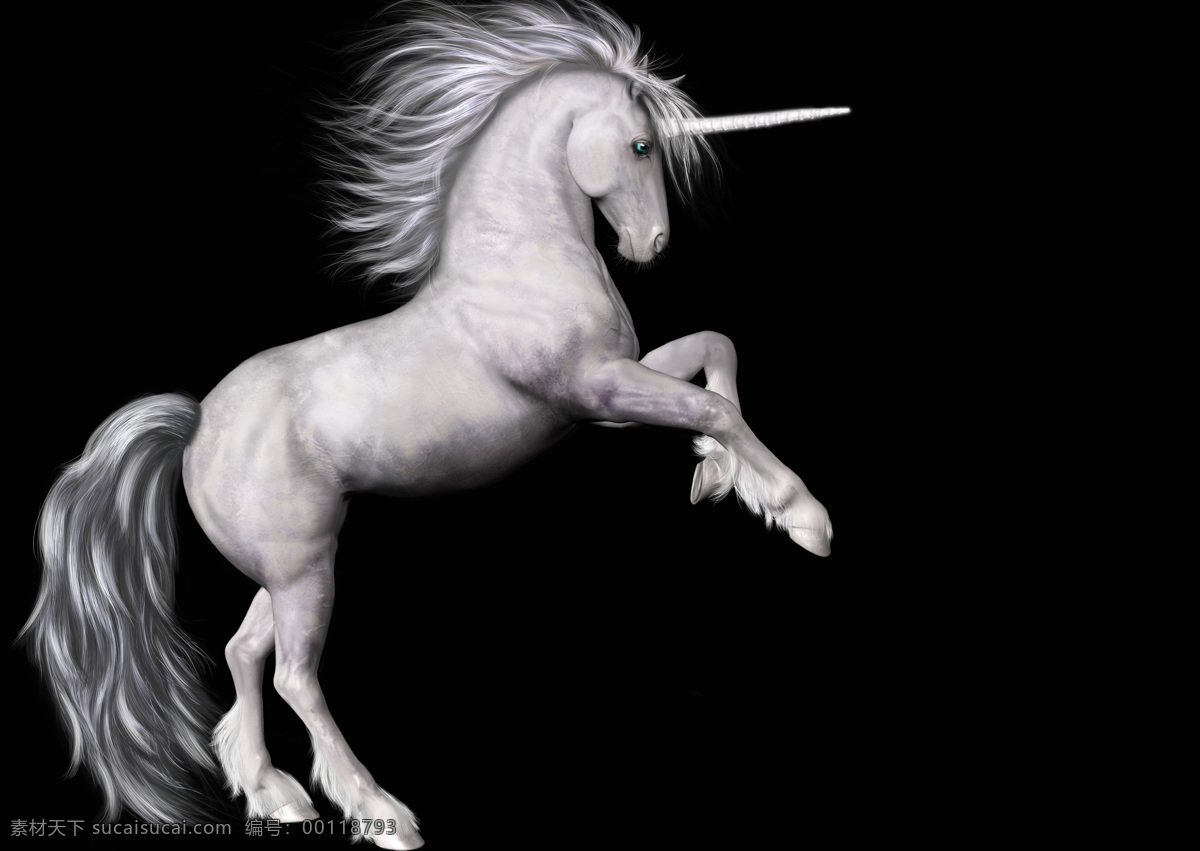 天馬 獨(dú)角馬 獨(dú)角天馬 鬣羚 汗血馬 大宛胡馬 天馬行空 瑞獸 祥獸 馬 駿馬 虛構(gòu)動物 神話動物 神話生物 神話坐騎 坐騎 生物世界 家禽家畜