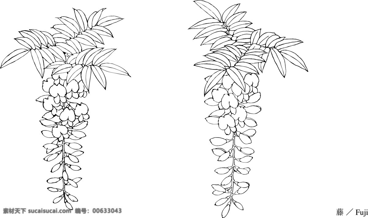 日本 线描 植物 花卉 矢量 其他矢量 矢量素材 矢量图库