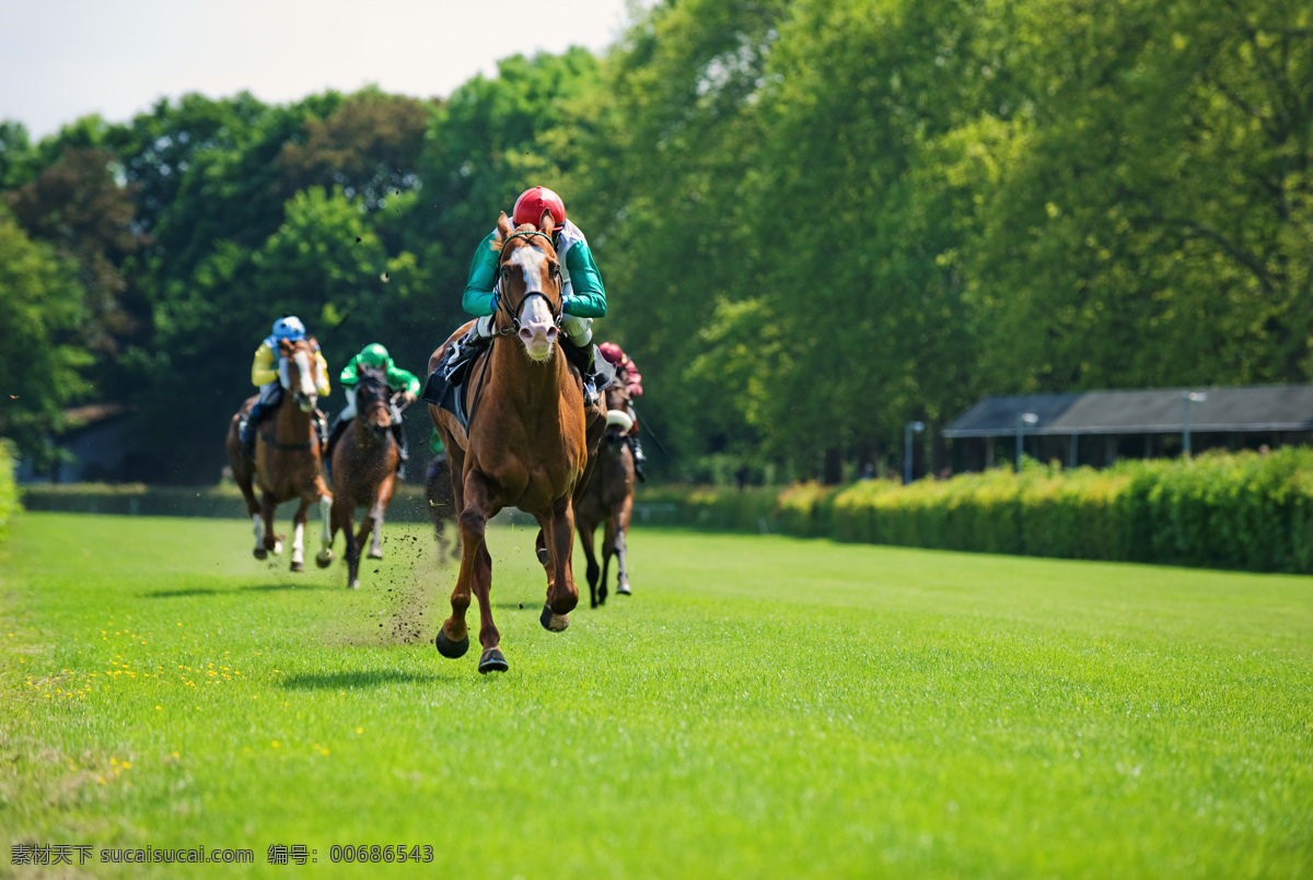 賽馬 跑馬 騎手 騎馬 賽馬場 體育攝影 文化藝術(shù) 體育運動