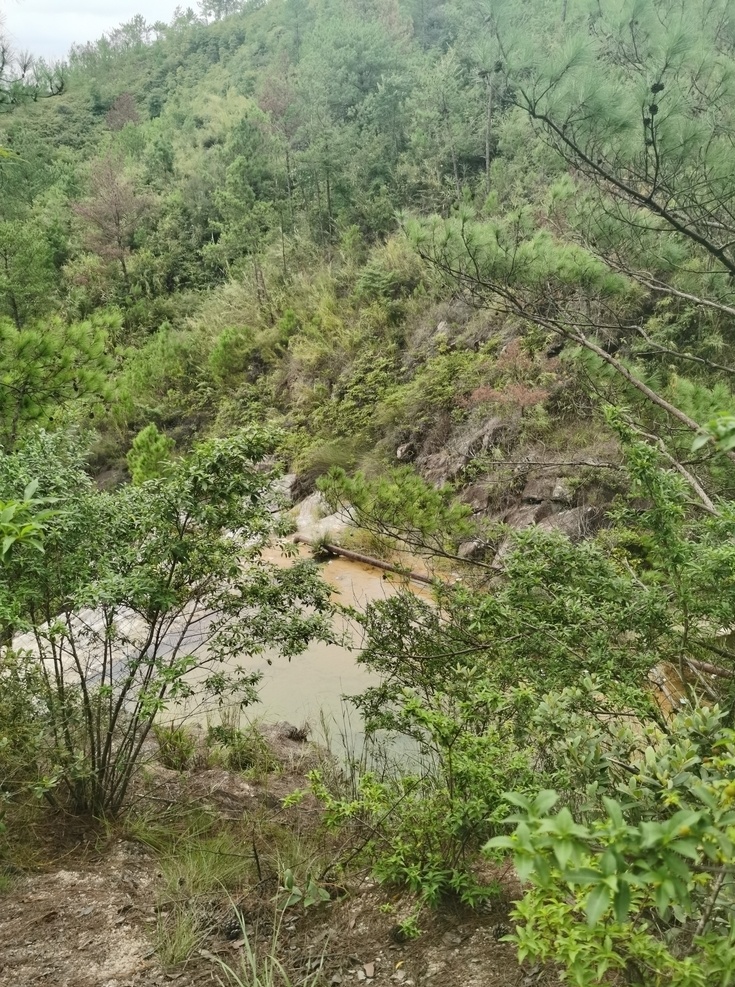 山地風(fēng)光圖片 森林 綠色 登山 自然 風(fēng)景 山地 丘陵 南方 山丘 樹林 徒步 戶外 風(fēng)光 原始 氧吧 自然景觀 自然風(fēng)景爬山 旅行 自然風(fēng)景 田園風(fēng)光