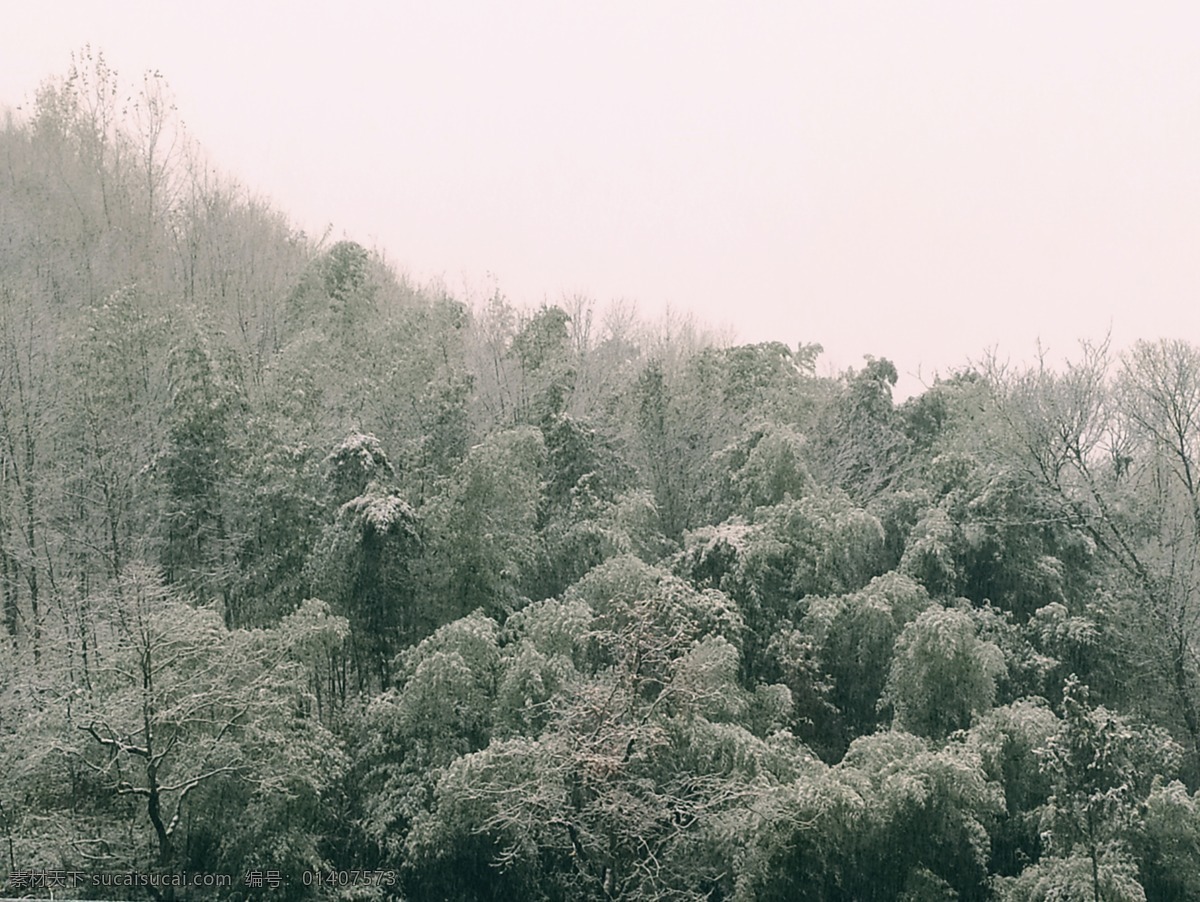 霧凇雪景 雪景 霧凇 大山雪景 雪景霧凇 白雪皚皚 自然景觀(guān) 自然風(fēng)景
