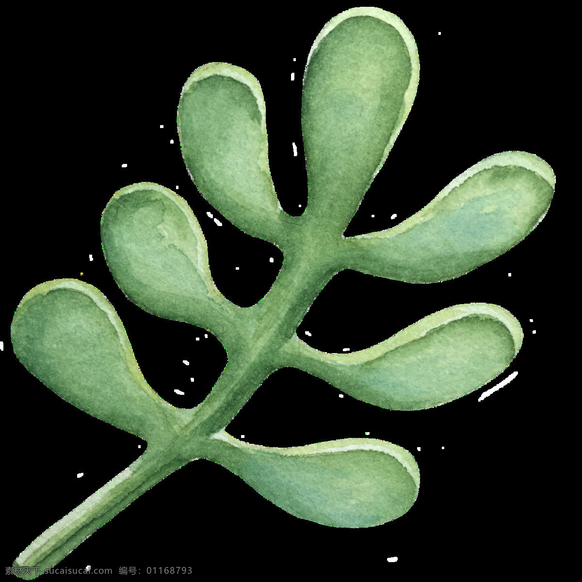 壁虎 枝葉 卡通 透明 樹葉 生物 透明素材 免扣素材 裝飾圖案