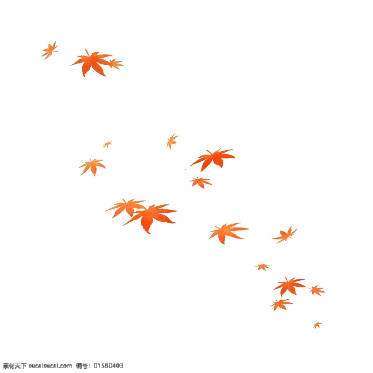 枫叶图片 枫叶 树叶 枝叶 叶子 红色 红色叶子 红色枫叶 枫树 秋天 秋季 装饰 点缀 飘落 素材图