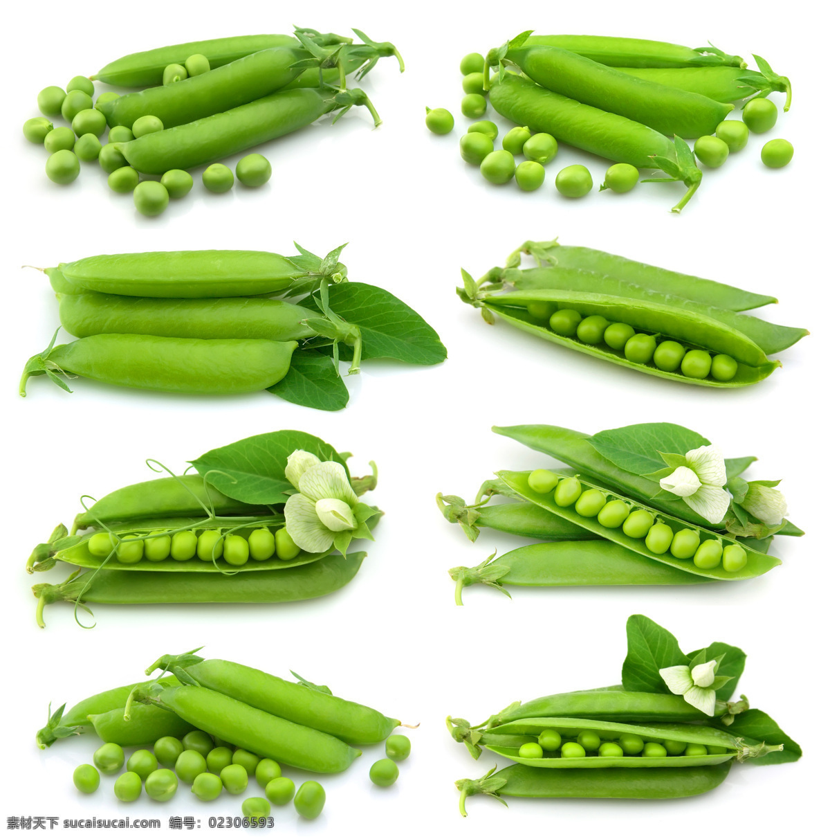 新鮮 豌豆 豆角 四季豆 新鮮蔬菜 蔬菜攝影 綠色蔬菜 水果蔬菜 蔬菜圖片 餐飲美食