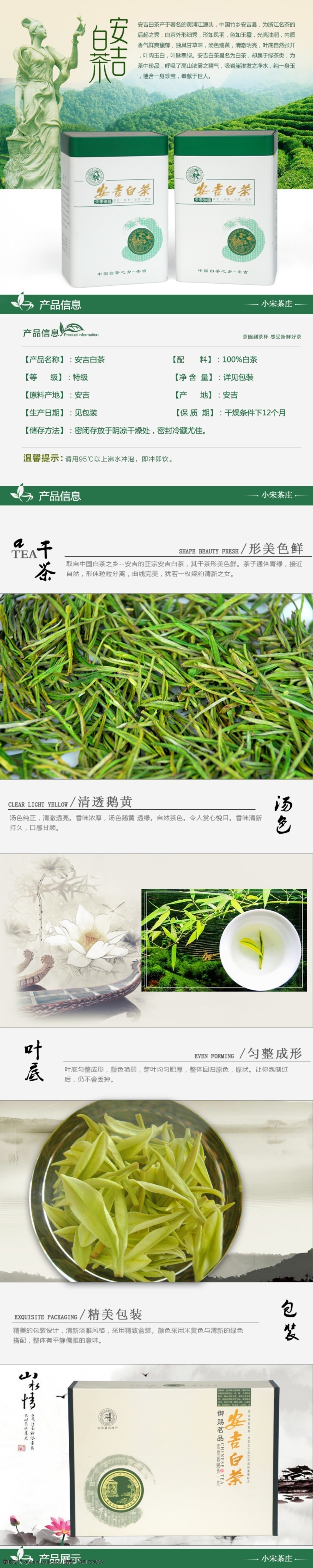 安吉白茶 茶葉詳情 分層模板 淘寶 阿里巴巴 白色