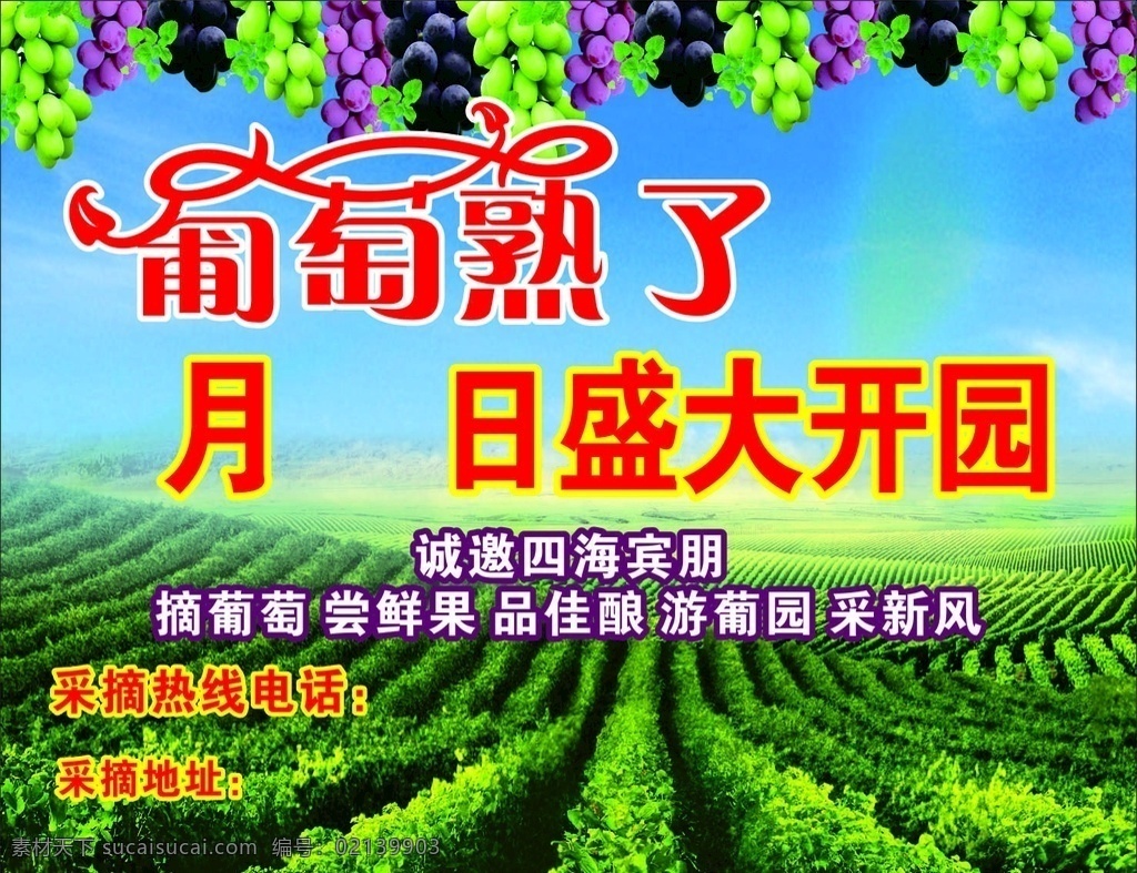 葡萄熟了 盛大开园 葡萄 海报 广告 水果 果园