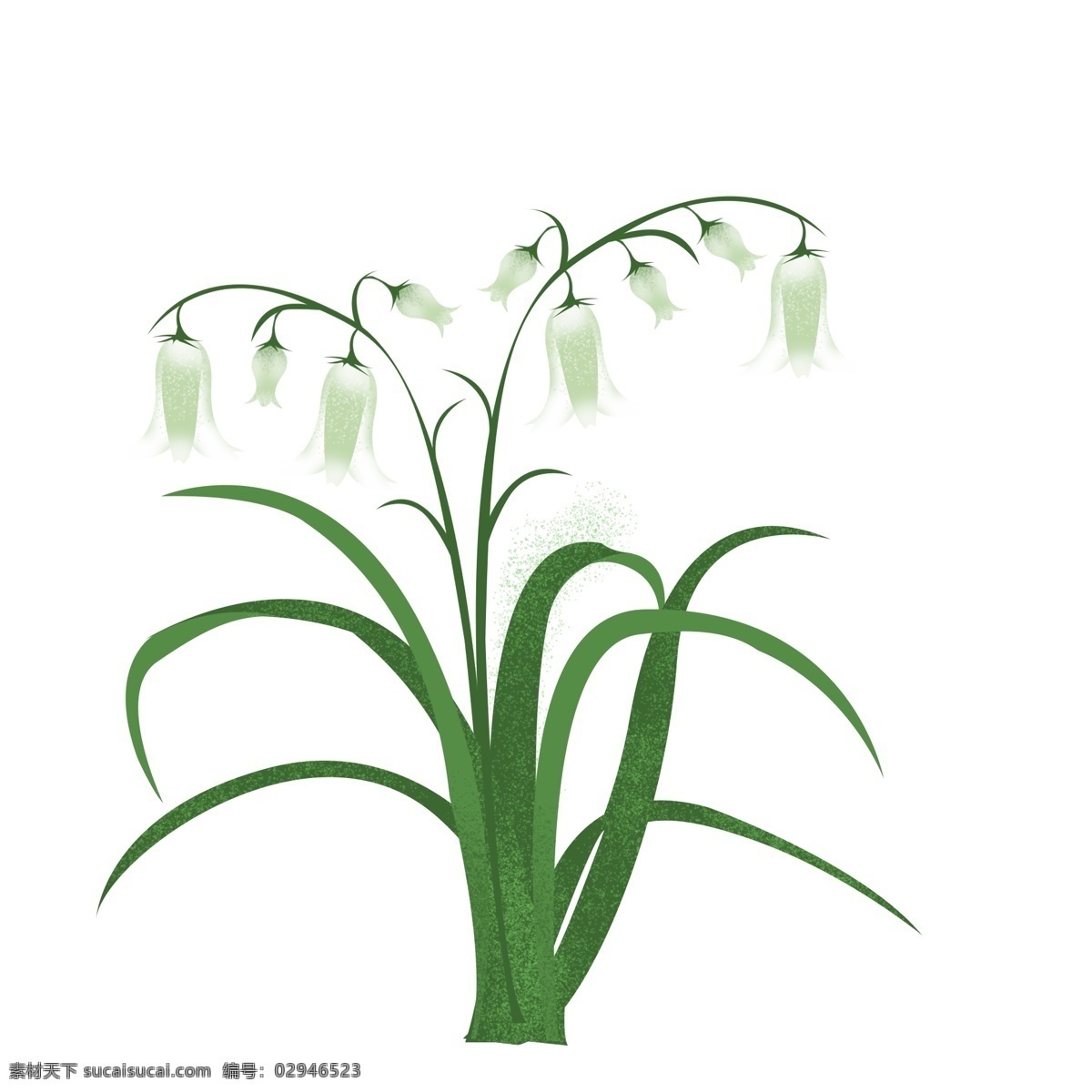 春天 元素 白色 花朵 花枝 花卉 绿叶 手绘 简约 风 手绘风