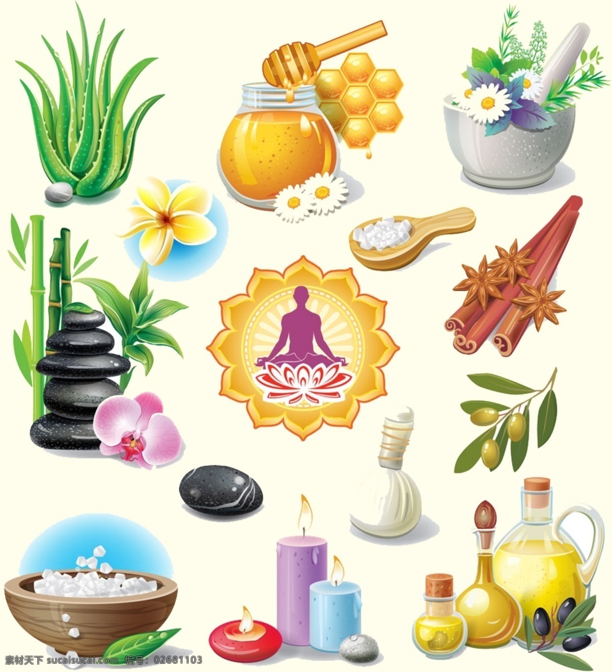 spa 身體 養(yǎng)生 項(xiàng)目 蘆薈