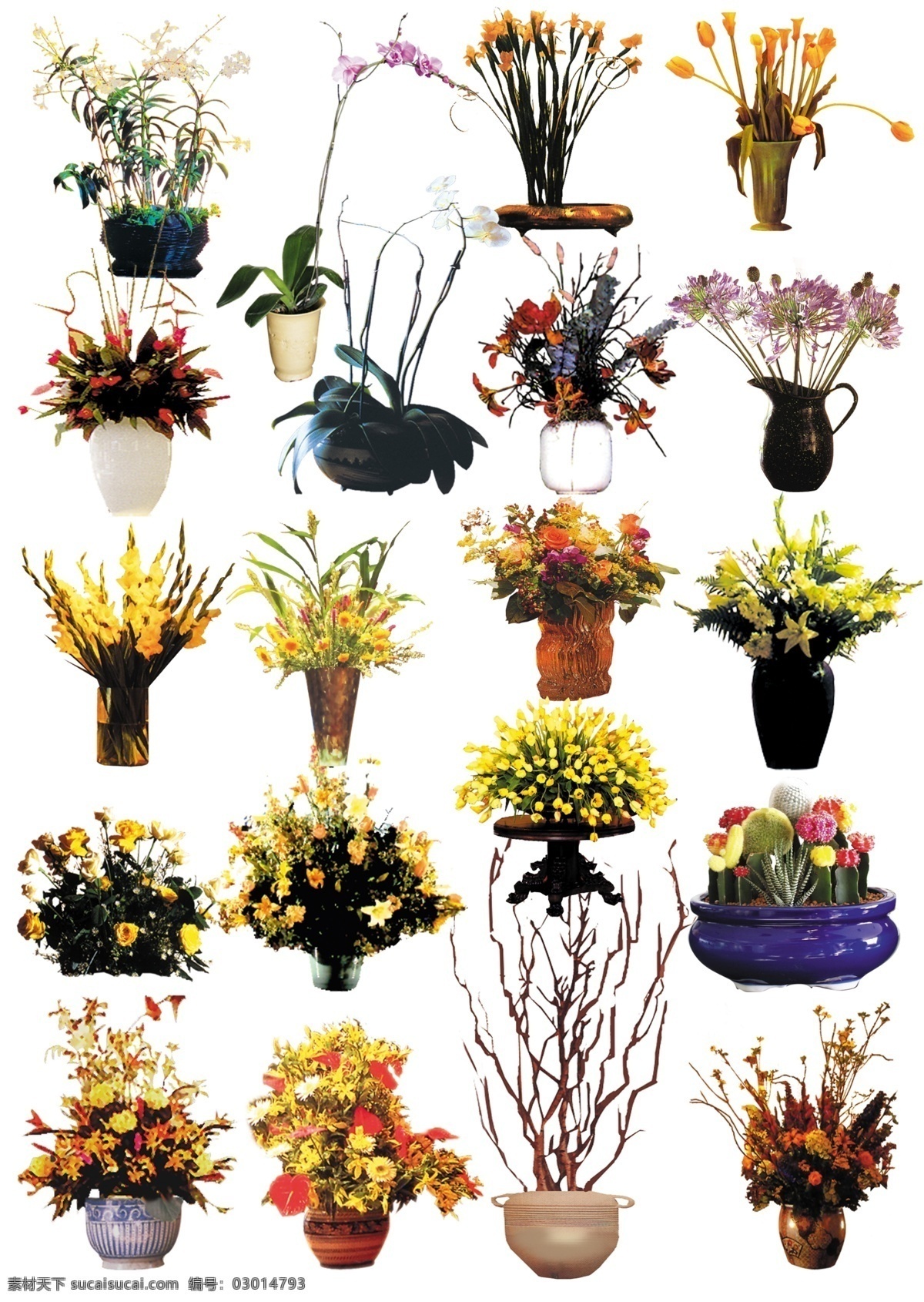 室內(nèi)盆栽盆花 盆栽 盆花 室內(nèi)盆栽 室內(nèi)盆花 psd盆栽 psd分層 盆栽透明圖 psd素材 分層