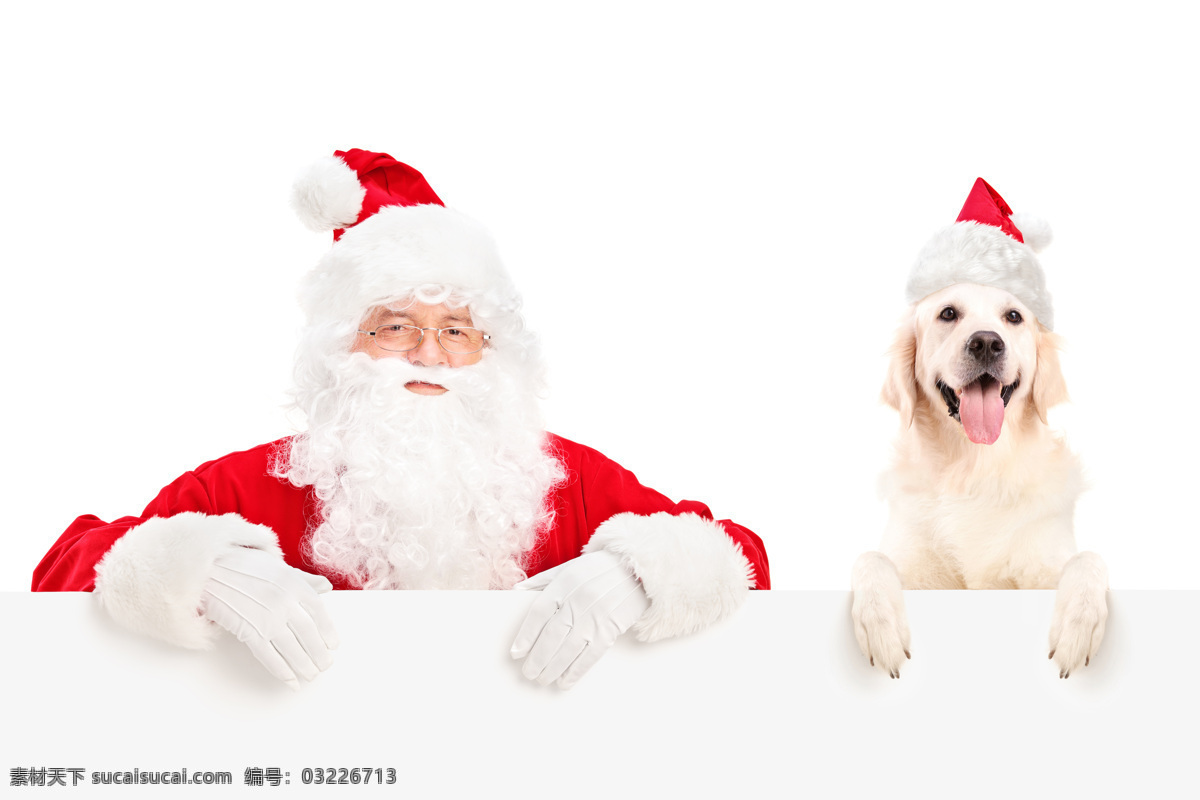圣诞老人 小狗 圣诞动物 圣诞帽 戴帽子的小狗 狗狗 可爱小狗 动物世界 宠物 狗狗图片 生物世界