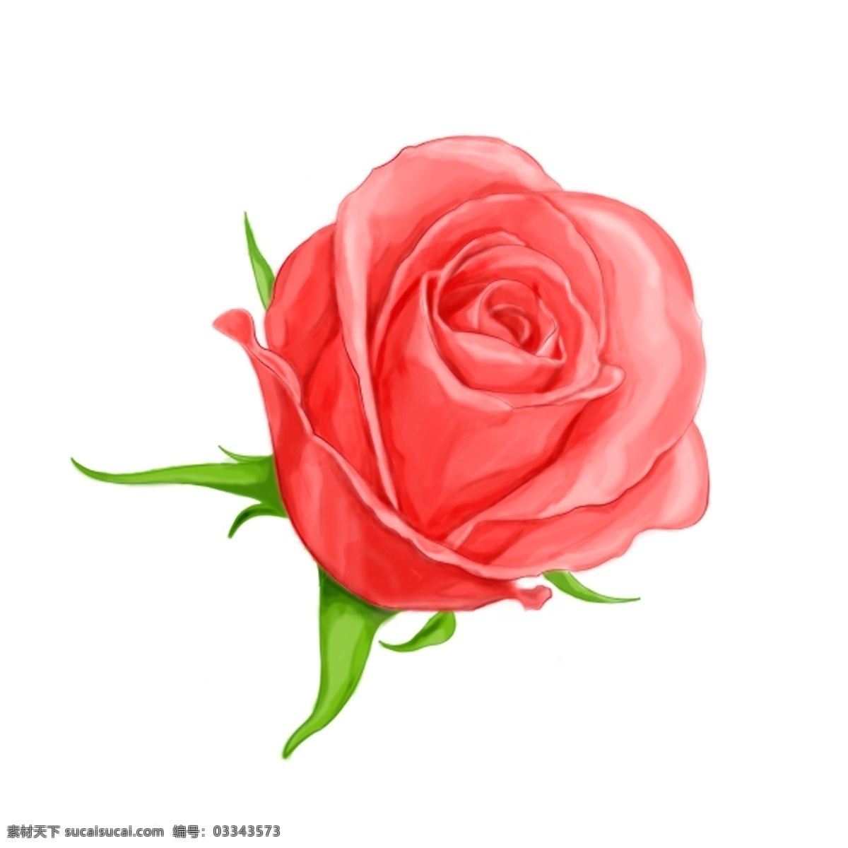 手绘 粉色 玫瑰花 植物 静物 元素 情人节 礼物
