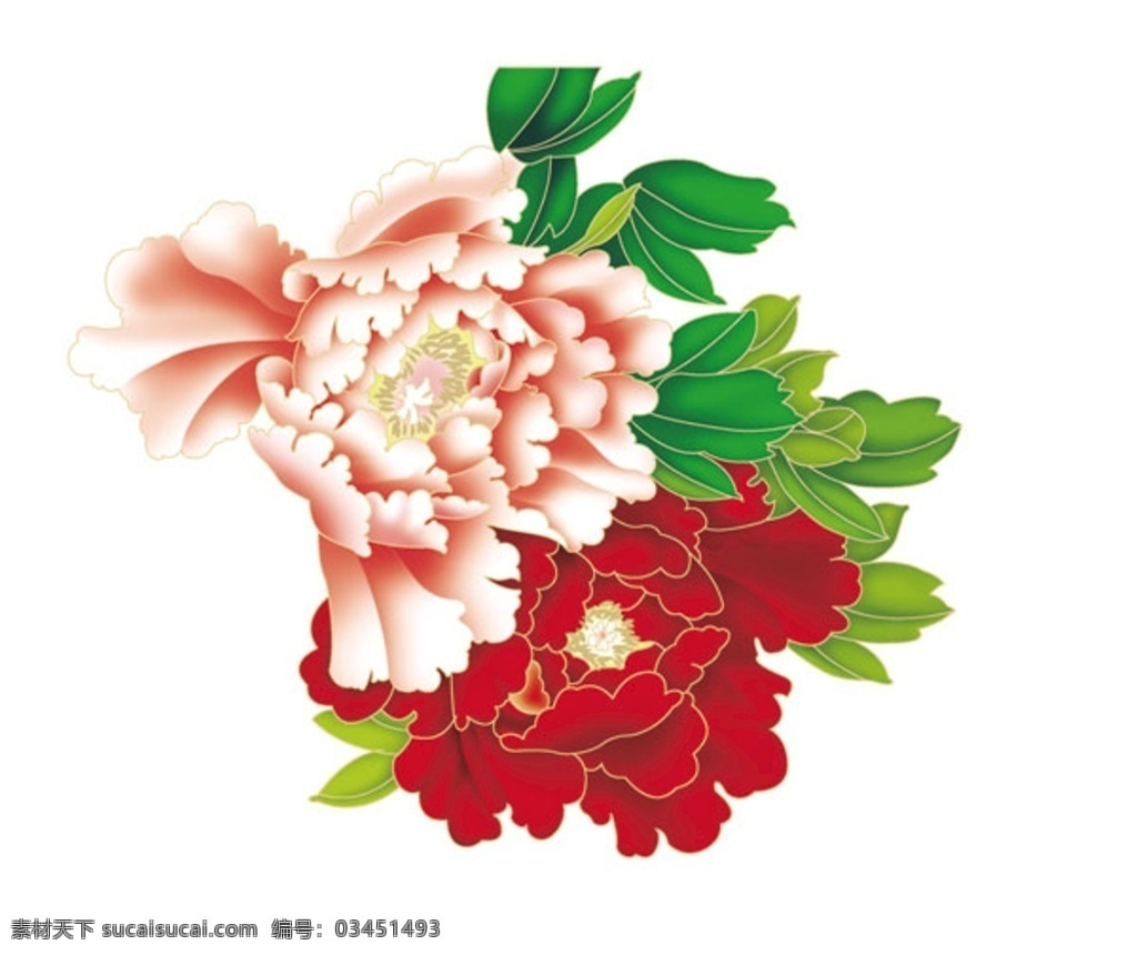 牡丹花卉素材 中国风 牡丹 花卉 插画 底纹 底纹边框 花边花纹