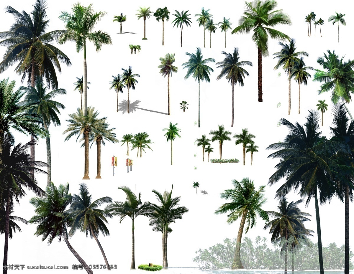 高精度 室外 效果图 棕榈科 植物 热带 室外素材 园林植物 棕榈树 建筑效果图 建筑 分层 源文件