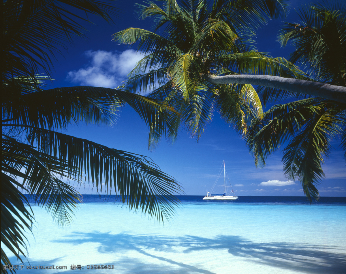 蓝天 白色 白沙滩 船 椰子树 自然风光 自然风景 自然景观 棕榈树 热带海滩 psd源文件