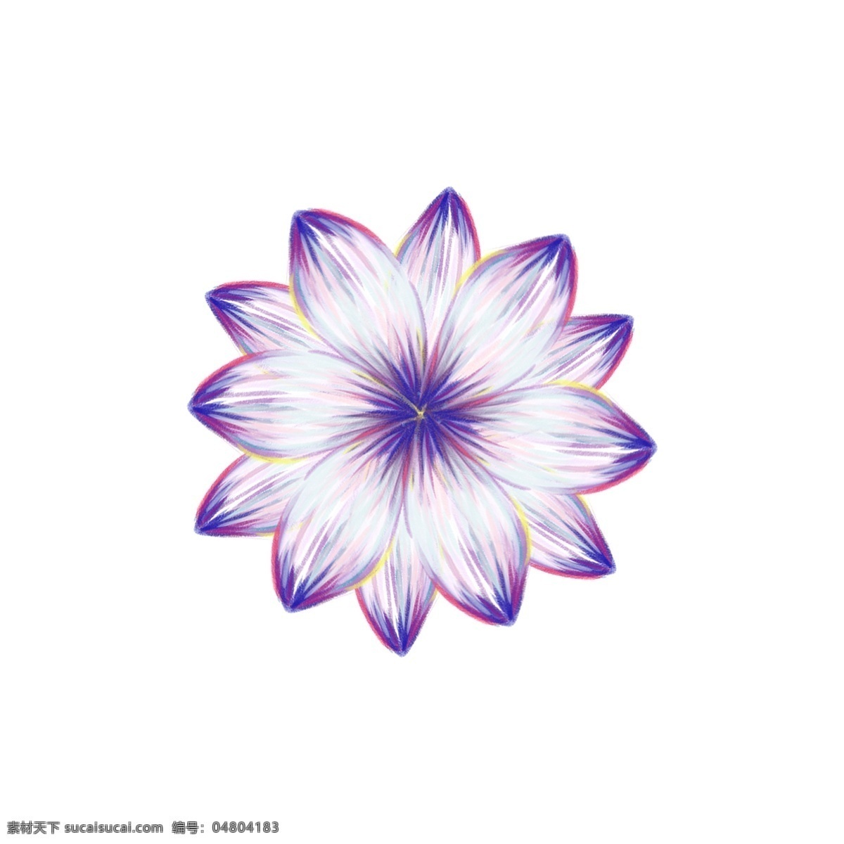 紫色 梦幻 花瓣 植物 彩 铅 手绘 商用 元素 彩铅
