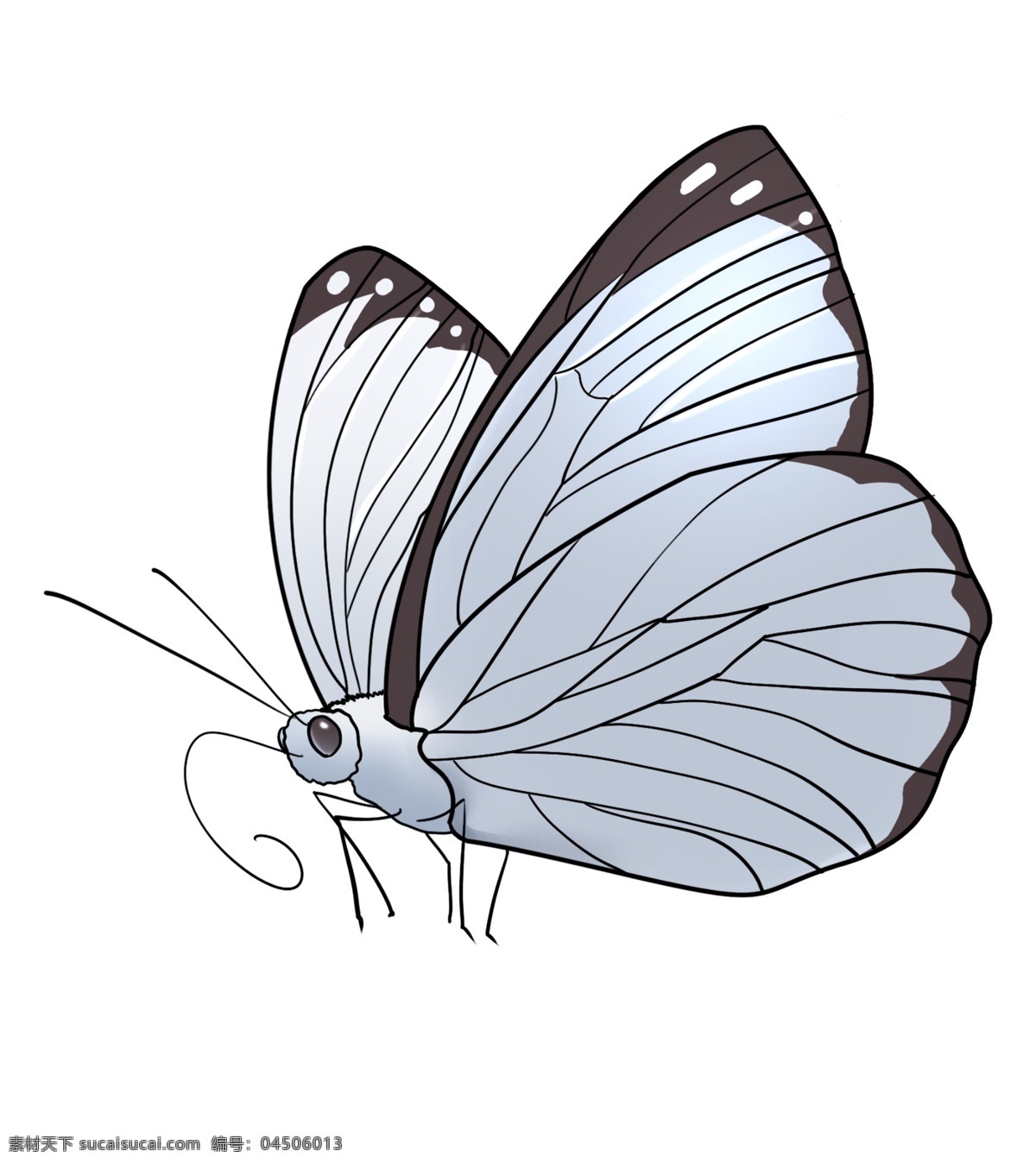 搞笑 蝴蝶 卡通 插画 蝴蝶的玩具 卡通插画 动物插画 蝴蝶插画 动物蝴蝶 昆虫 益虫 搞笑的蝴蝶