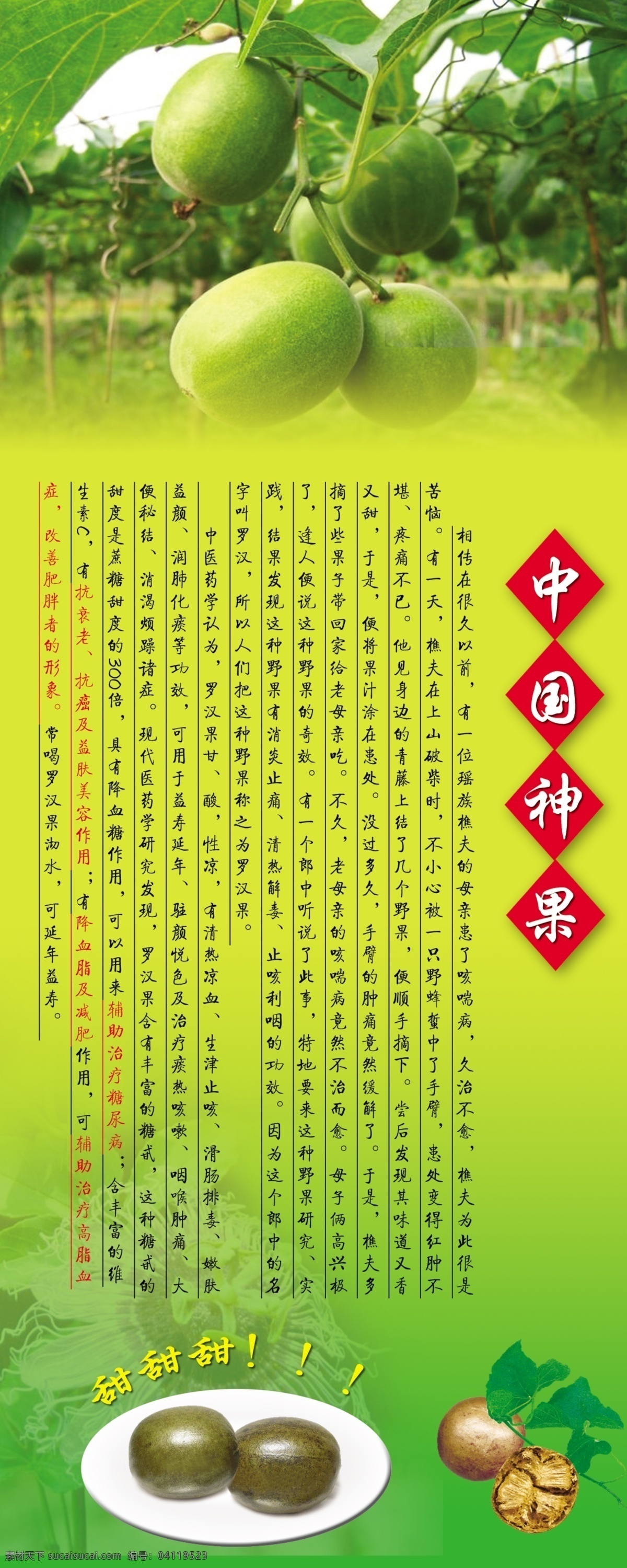 罗汉果展架 展示 中国神果 泡茶神果