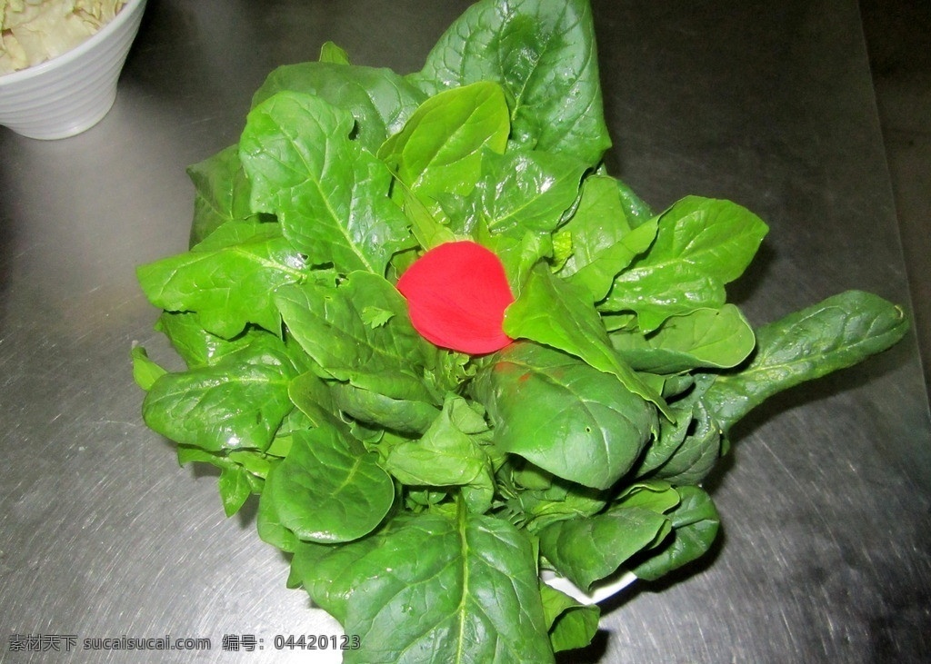 火鍋涮菜 菠菜 菠菜拼盤 涮菜菠菜 火鍋菠菜 傳統(tǒng)美食 餐飲美食