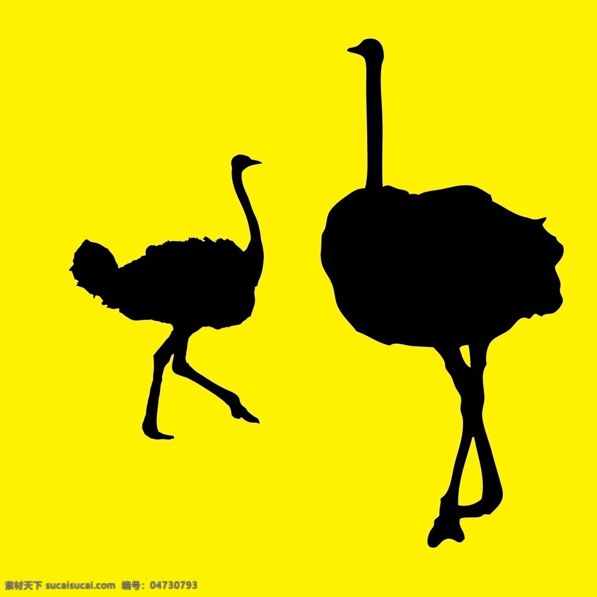 動(dòng)物世界 鴕鳥(niǎo) 側(cè)面 動(dòng)物 剪影 矢量圖 其他矢量圖