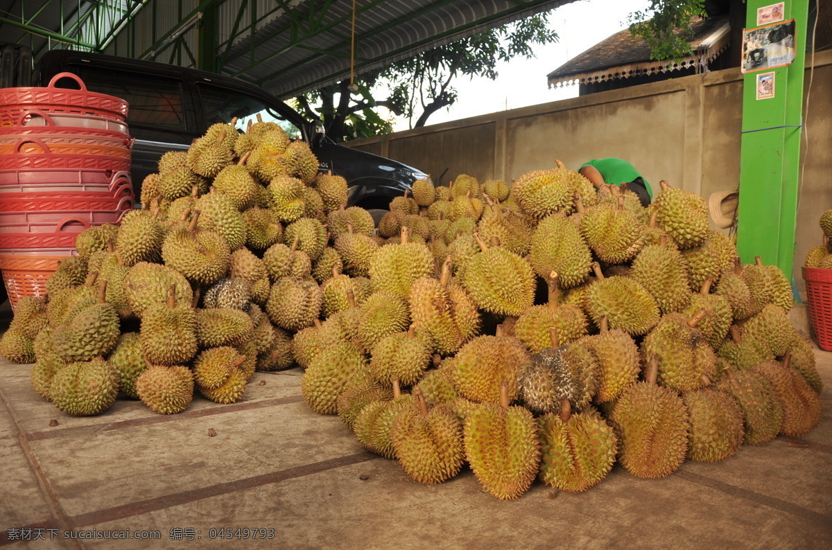 大 榴蓮 熱帶 生物世界 水果 泰國(guó) 大榴蓮 蔬菜市場(chǎng)