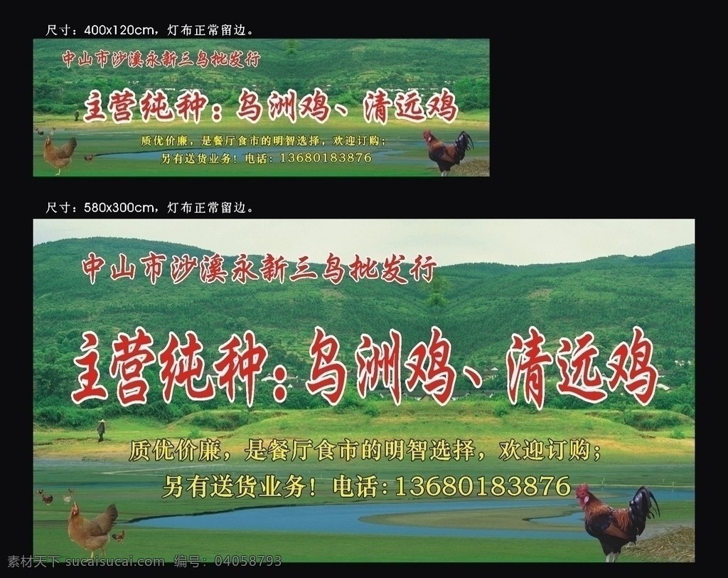 主營雞 烏洲雞 清遠(yuǎn)雞 草地 山水 農(nóng)民 農(nóng)家雞 生態(tài)養(yǎng)殖 雞 樹木 自然 公雞 母雞 家禽家畜 廣告設(shè)計(jì)模板 其他設(shè)計(jì) 矢量