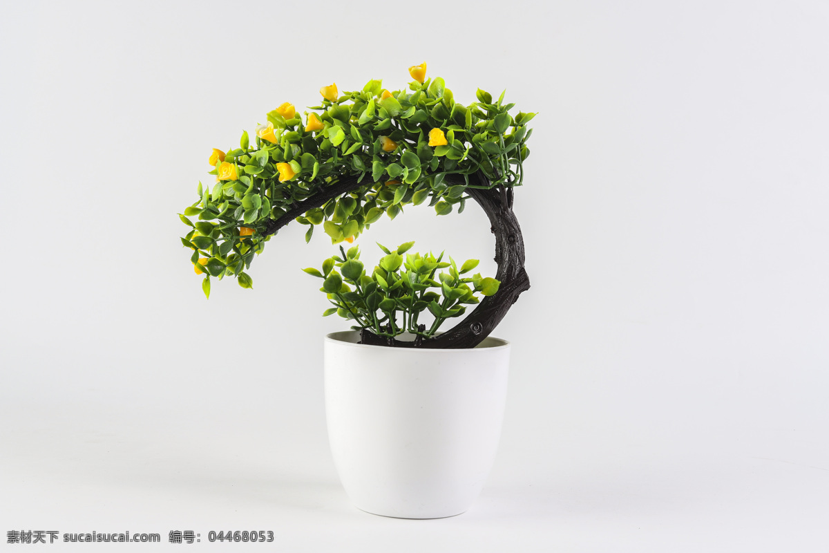 简约 花盆 盆栽 图案 植物 产品摄影 实物摄影 生活百科 生活素材