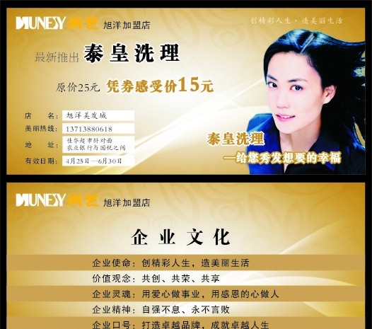 發(fā)卡 美容 美發(fā) 尚藝 洗發(fā)卡 女性 美女 發(fā)型 卡片 優(yōu)惠 矢量
