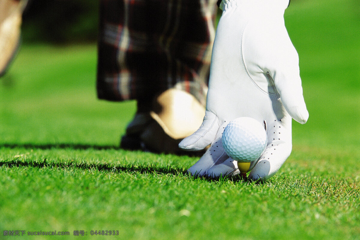 高尔夫球 特写 球场 贵族运动 休闲运动 尊贵运动 体育运动 生活百科