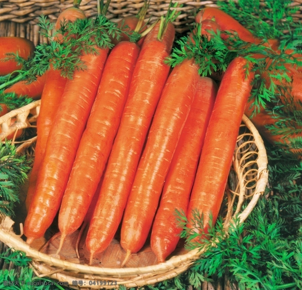 蔬菜大全圖片 蔬菜大全 蔬菜籃 田園牧場 田園蔬菜 蔬菜組合 火鍋 火鍋蔬菜 田園大豐收 新鮮蔬菜 家常蔬菜 有機(jī)食品 健康食品 無公害蔬菜 蔬菜照片 瓜果蔬菜 農(nóng)家蔬菜 蔬菜水果合集 木板上的蔬菜 精品蔬菜 有機(jī)蔬菜 蔬菜超市 蔬菜市場 綠色蔬菜 水果蔬菜 蔬菜背景 蔬菜文化 蔬菜飲食 生物世界 蔬菜