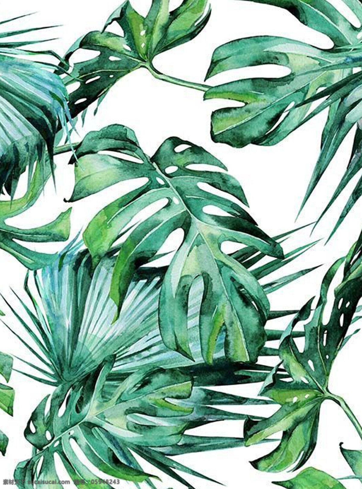 手绘 植物 元素 背景 树叶 叶子 绿叶 叶片 绿色 鲜嫩 清新 芭蕉叶 自然 小清新 文艺 绿色芭蕉叶 插图 绘画 美术 植物元素 绿植元素 背景素材 底纹边框 背景底纹 设计背景素材