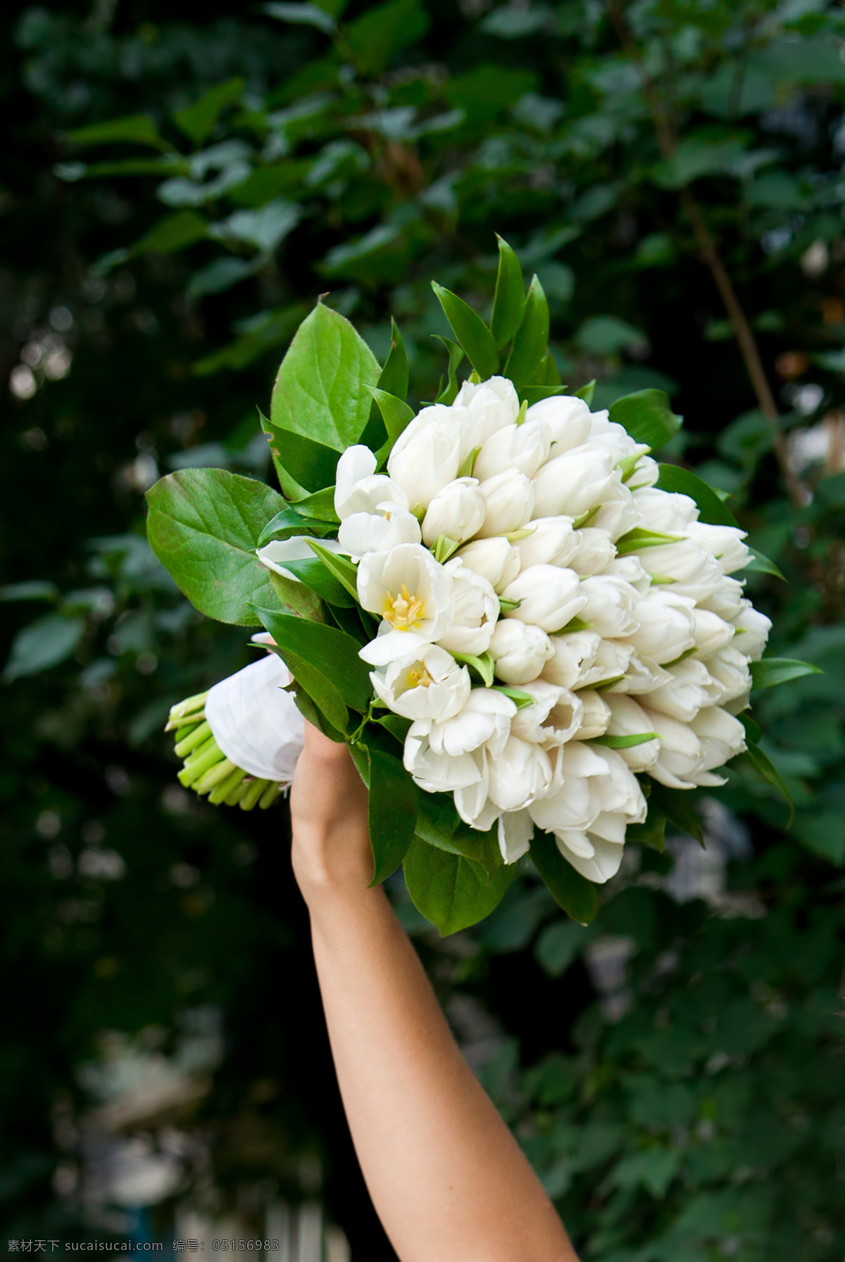 百合 花草 花球 花束 婚禮 婚禮花束 婚慶 綠色 手 葉子 綠葉 自然 手握鮮花 鮮花 生物世界 psd源文件 婚紗 兒童 寫真 相冊(cè) 模板