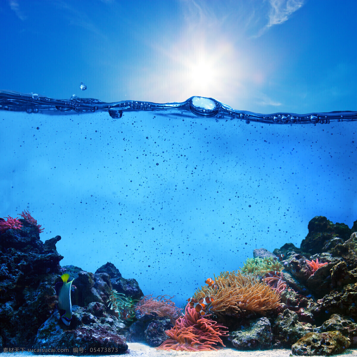 天空 下 水面 海底 世界 蓝天 太阳 海底世界 珊瑚 大海图片 风景图片