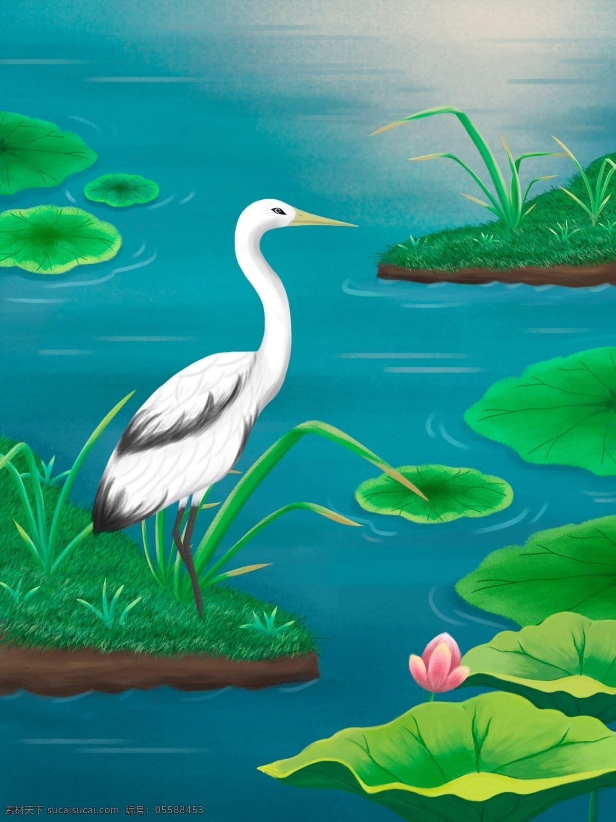 世界 湿地 日 保护 鸟类 植物 手绘 插画 荷叶 环保 大自然 世界湿地日 湿地日 湿地节 植被 湖泊 湖水 荷塘 池塘 水 环境