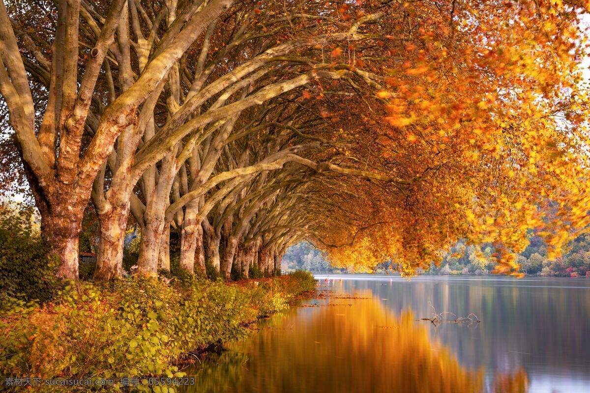 秋天风景图 秋季 湖 平面树 性质 景观 水 心情 景区 反射 浪漫 气氛 水域 树木 大树 湖面 倒影 创意合成 旅游摄影 国内旅游