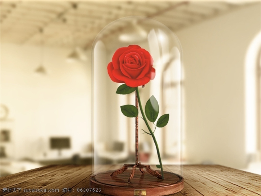 小王子 玫瑰 玻璃 大片 休闲 室内 植物 舒服 清新 分层