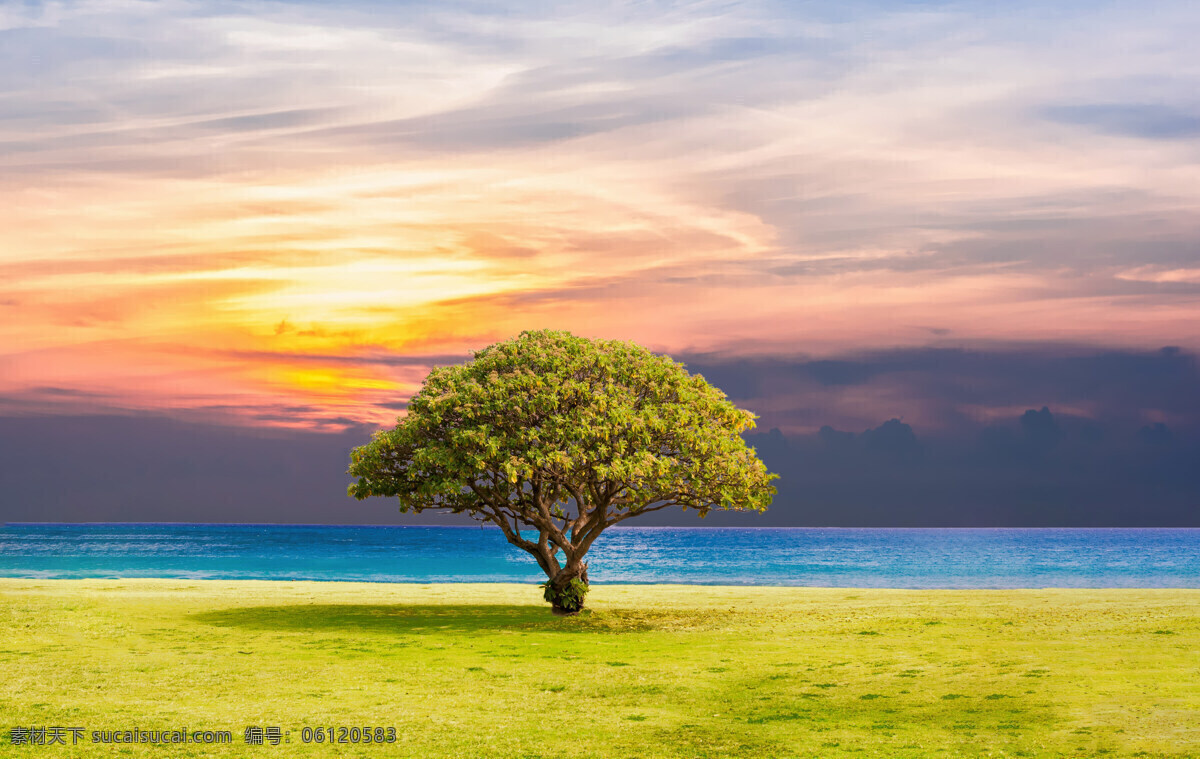 自然風(fēng)光 樹(shù) 夕陽(yáng) 早晨 天空 大海 自然景觀 自然風(fēng)景