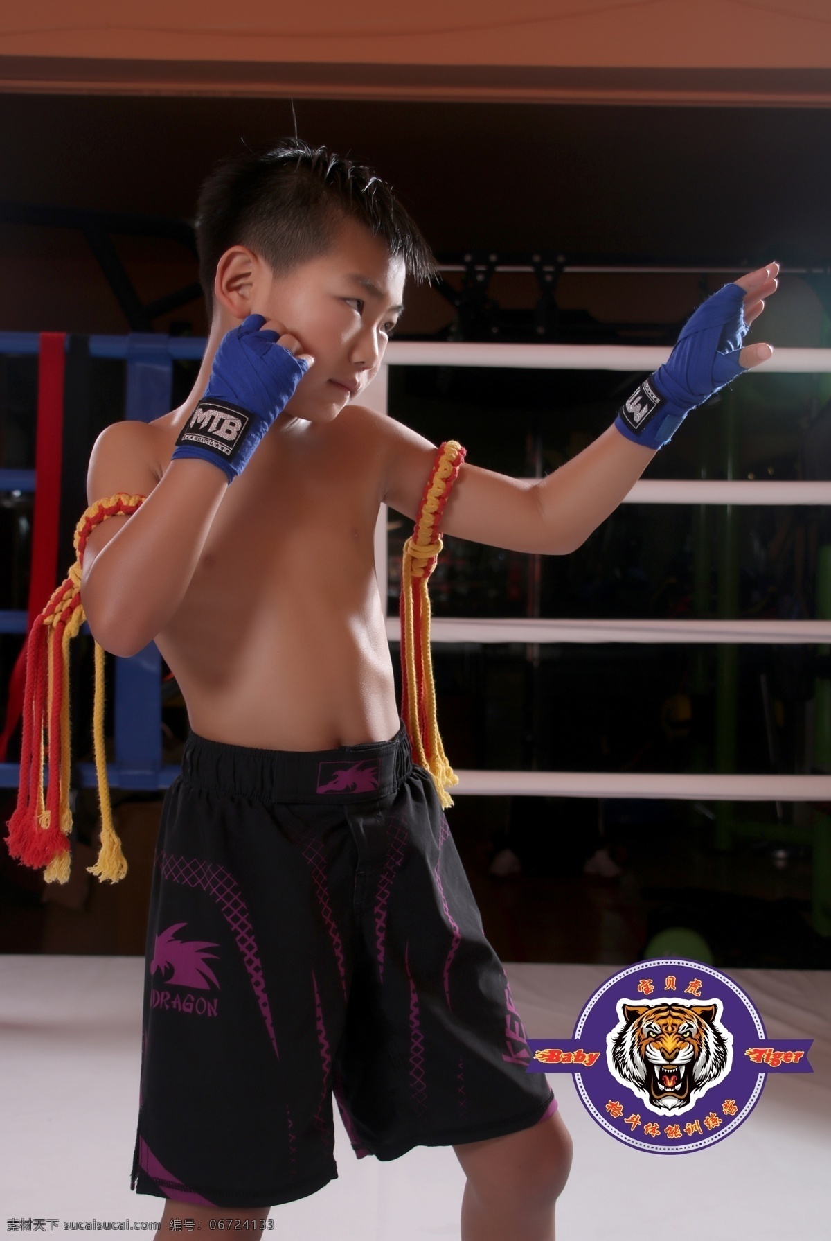 儿童格斗 泰拳 搏击 mma 儿童体适能 baby tiger 格斗 体能 文化艺术 体育运动