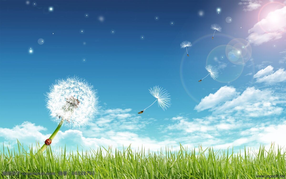 夏日 寬 屏 壁紙 燦爛 清涼 如詩(shī)如畫(huà) 高清陽(yáng)光 夏日寬屏壁紙 家居裝飾素材 壁紙墻畫(huà)壁紙