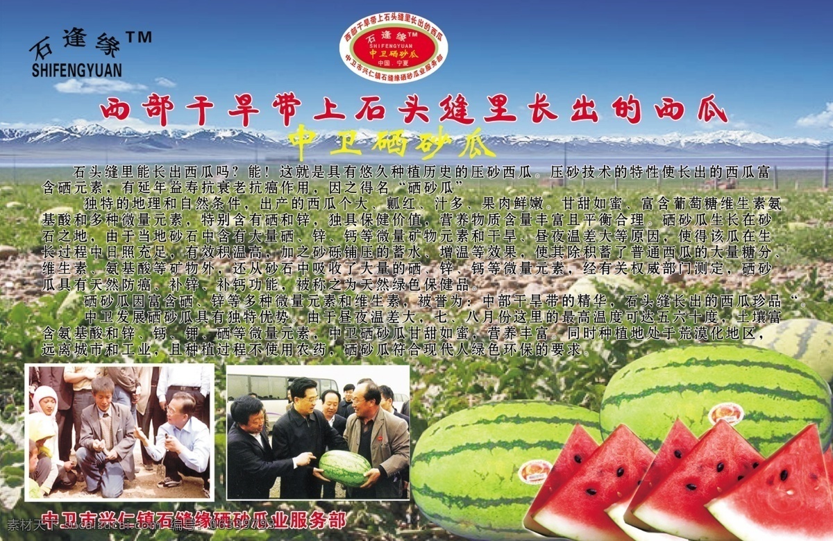 中衛(wèi)硒砂瓜 西瓜 中衛(wèi) 石縫緣 領(lǐng)導(dǎo)人 西部 生活百科