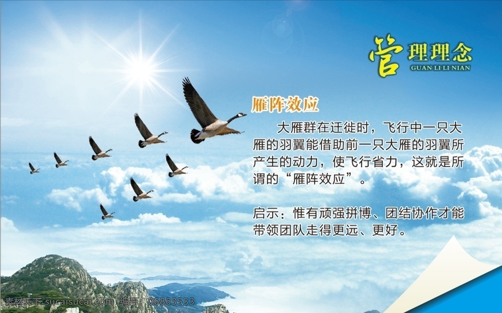 企业管理 雁阵效应图片 业管理文化 企业管理挂图 公司标语 厂企业标语 企业文化挂图 企业文化挂画 企业文化展板 公司文化挂图 企业管理制度 企业管理标识 会议室文化 公司文化 员工标语 鸡汤语 励志文化 背景墙 励志 企业励志文化 企业海报 公司海报 公司文化宣传 企业形象 企业管理文化