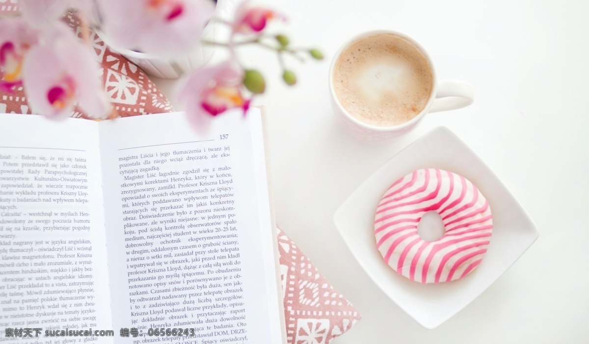 看书 喝 咖啡 吃 甜点 图书 书店 书 读 研究 文献 知识 阅读 思考 书籍 进步 励志 正能量 甜甜圈 生活百科 生活素材