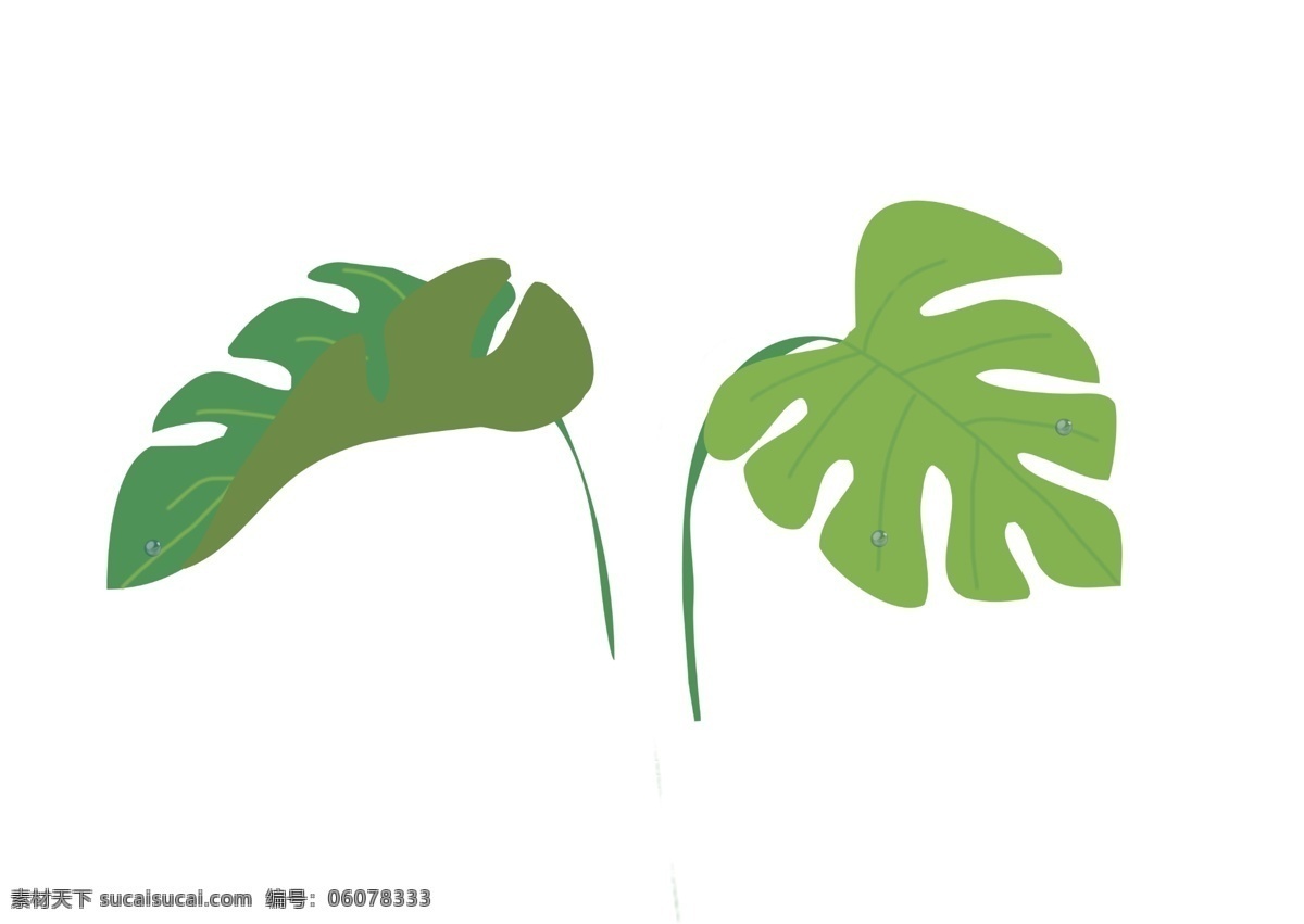 两 片 大 叶子 树枝 插画 两片大树叶 绿色的植物 树枝树叶插画 绿植花卉 创意树叶树枝 立体树叶插画