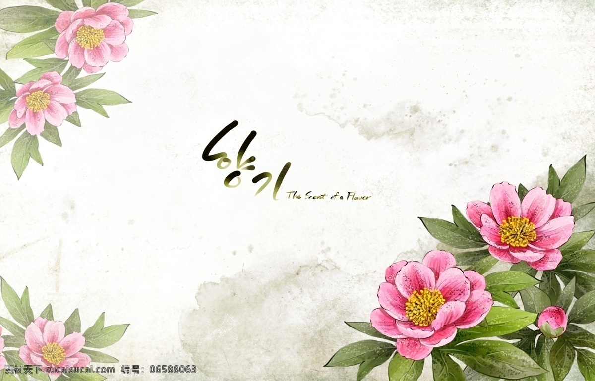 浪漫 韩国 风 花卉 装饰 背景 源文件 粉红色 树叶 鲜花 绿色 装饰图案