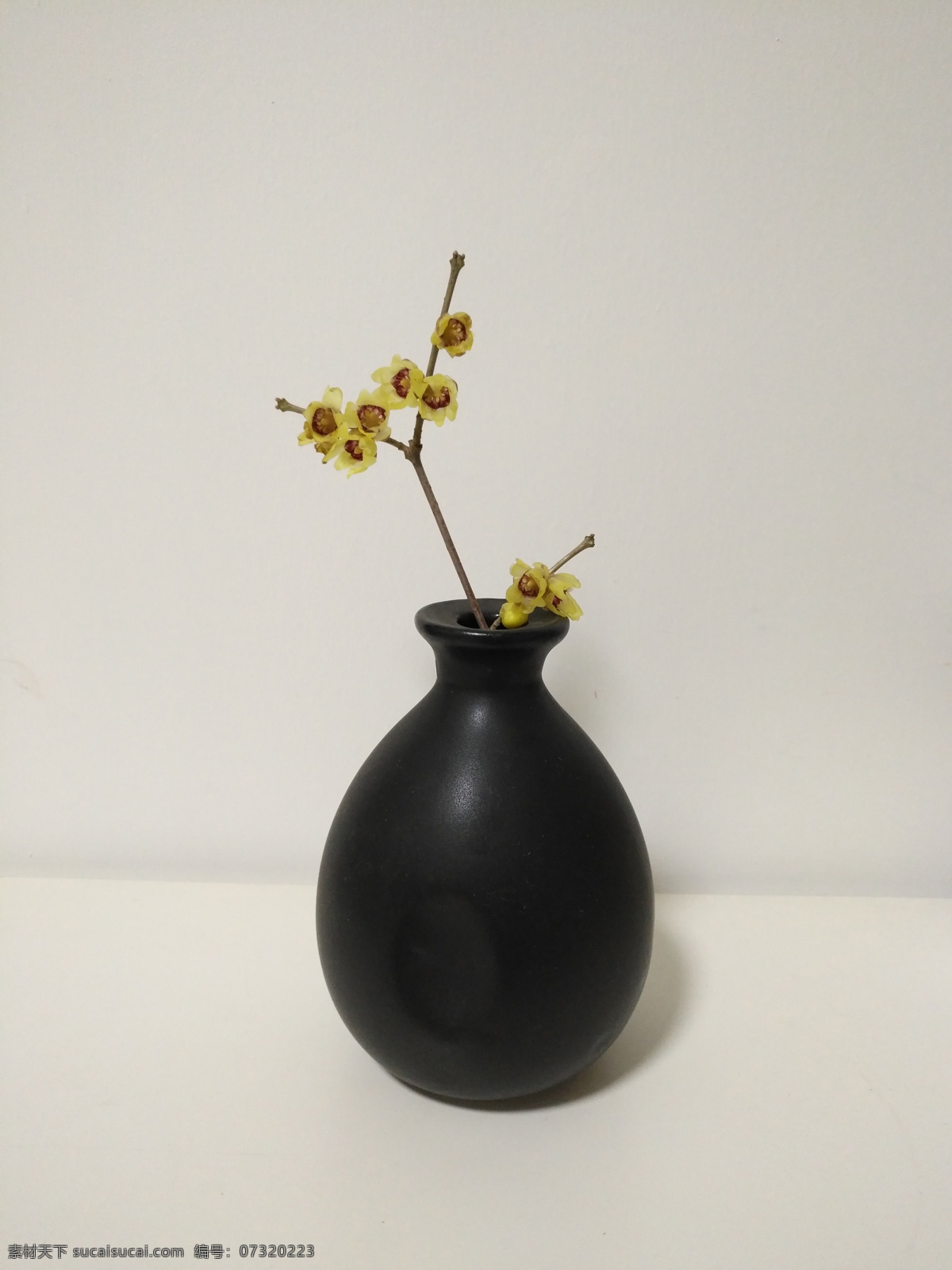 中式 插花艺术 腊梅 陶瓷 花瓶 暗香 黑色陶瓷花瓶 禅意 植物 生活百科 娱乐休闲