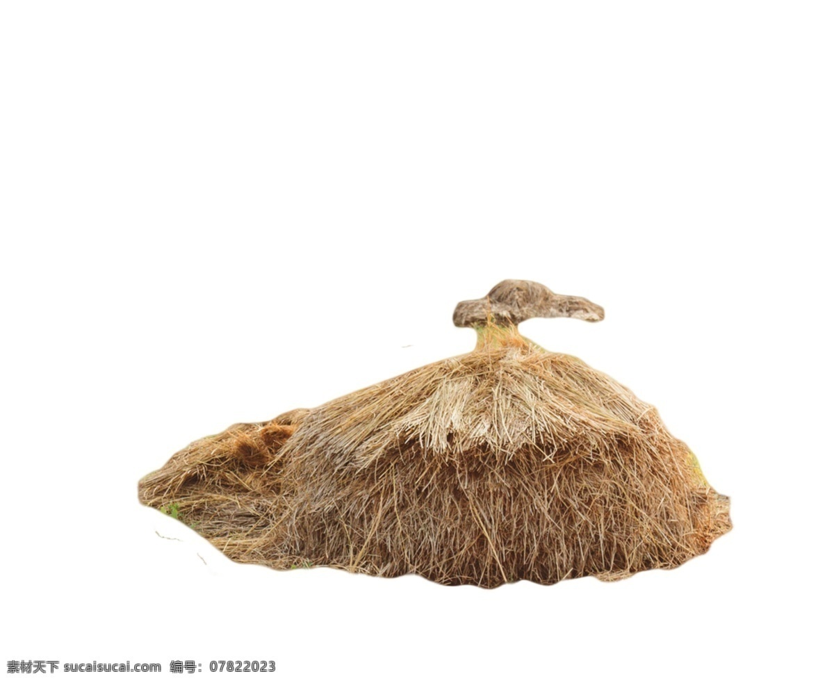 稻草堆 快捷方便 好用 一根根 干草成堆 植物 干草 燒火 味牲畜 黃色 成堆 好看 遮雨 能干透 扎著 割收