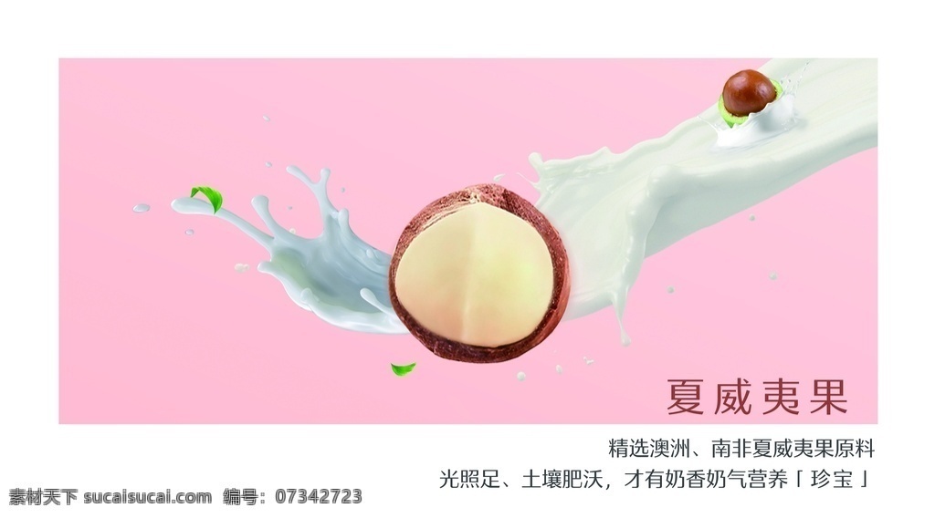 夏威夷果 堅果 海報 堅果海報 零食