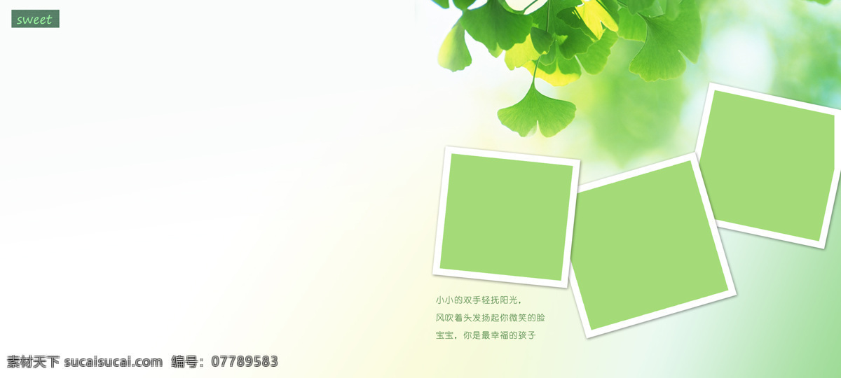 红色 卡片 banner 背景 清新 绿色树叶
